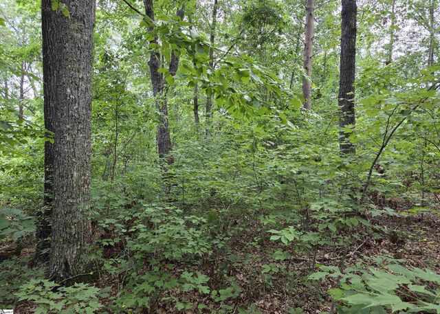 219 Luberon Lane, Travelers Rest, SC 29690