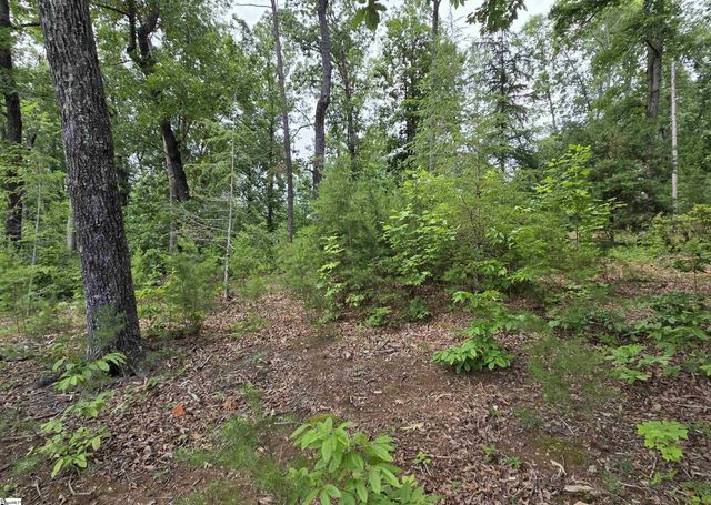 219 Luberon Lane, Travelers Rest, SC 29690