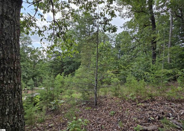 219 Luberon Lane, Travelers Rest, SC 29690