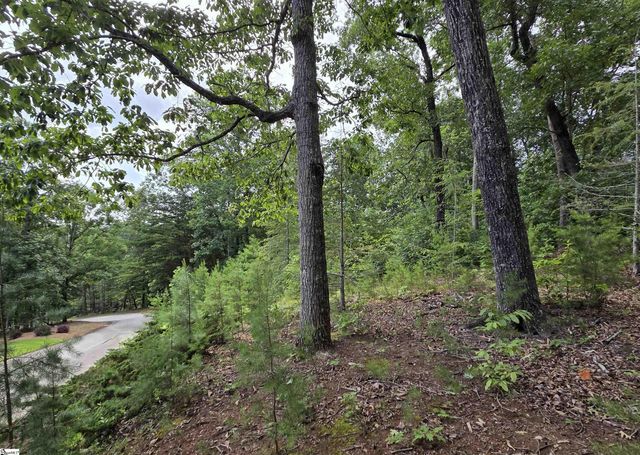 219 Luberon Lane, Travelers Rest, SC 29690