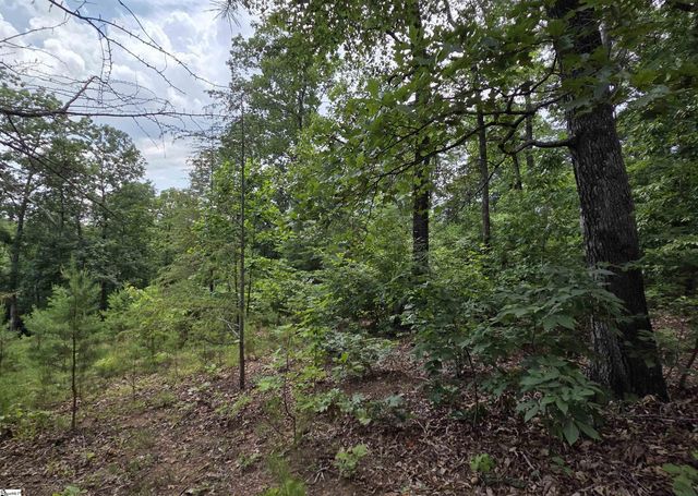 219 Luberon Lane, Travelers Rest, SC 29690