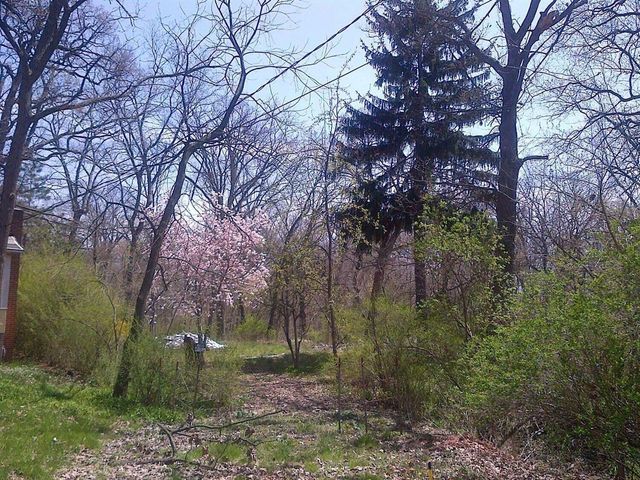 13035 Morse Lane, Cedar Lake, IN 46303