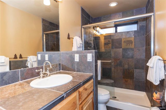 114 Park Forest Drive, Breckenridge, CO 80424