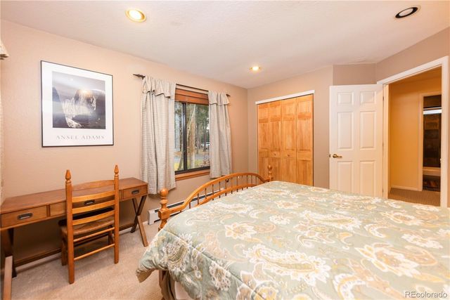 114 Park Forest Drive, Breckenridge, CO 80424