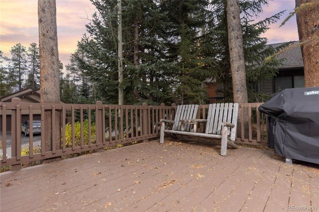 114 Park Forest Drive, Breckenridge, CO 80424