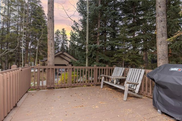 114 Park Forest Drive, Breckenridge, CO 80424