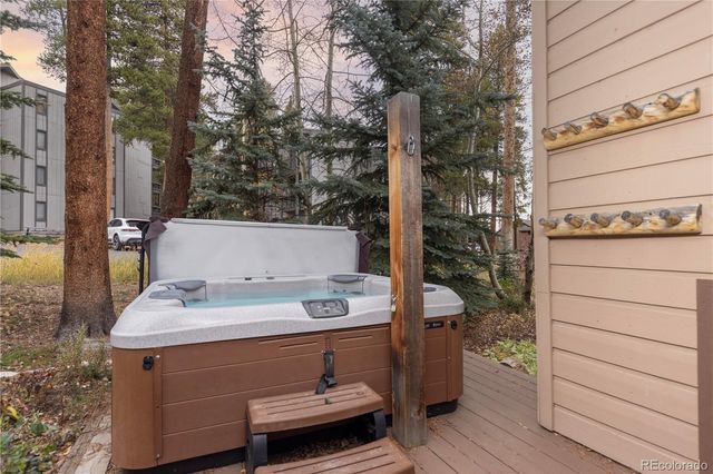 114 Park Forest Drive, Breckenridge, CO 80424