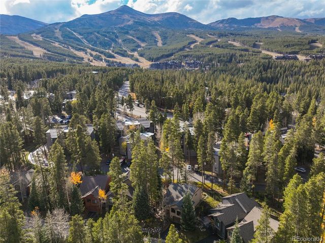 114 Park Forest Drive, Breckenridge, CO 80424