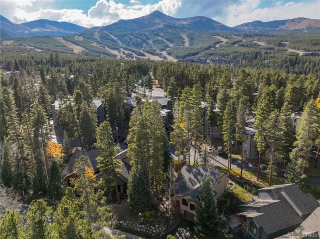 114 Park Forest Drive, Breckenridge, CO 80424