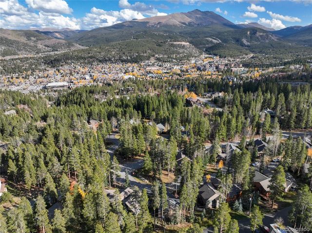 114 Park Forest Drive, Breckenridge, CO 80424