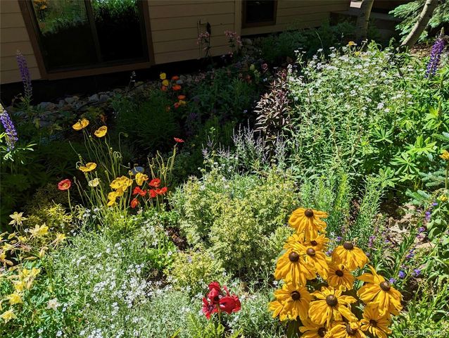 114 Park Forest Drive, Breckenridge, CO 80424