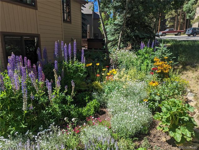 114 Park Forest Drive, Breckenridge, CO 80424