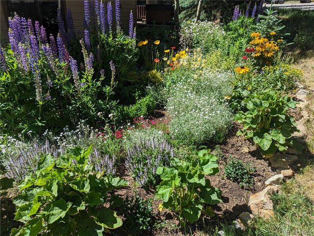 114 Park Forest Drive, Breckenridge, CO 80424