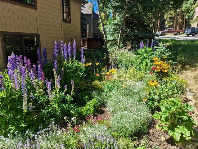 114 Park Forest Drive, Breckenridge, CO 80424