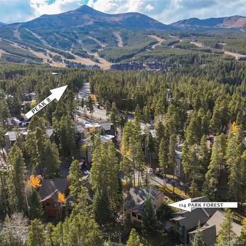 114 Park Forest Drive, Breckenridge, CO 80424