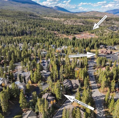 114 Park Forest Drive, Breckenridge, CO 80424