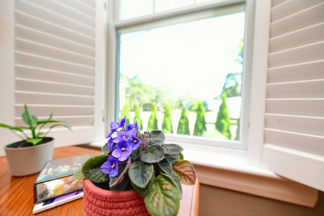 29 Lafayette Avenue, Buzzards Bay, MA 02532