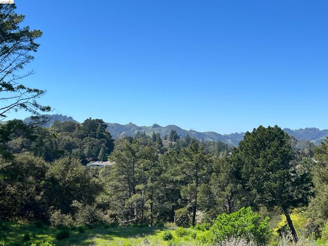 82 Zander Dr, Orinda, CA 94563