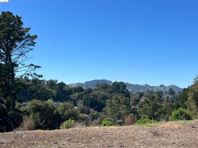 82 Zander Dr, Orinda, CA 94563