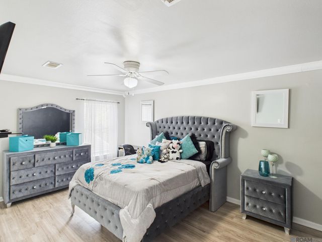 18071 Manchac Place Dr, Prairieville, LA 70769