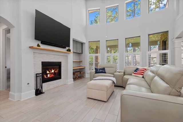 207 Ladner Court, Willis, TX 77318