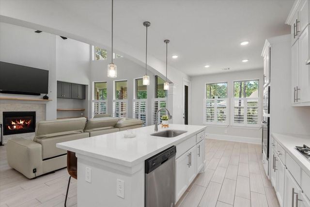 207 Ladner Court, Willis, TX 77318