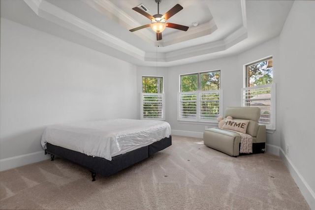 207 Ladner Court, Willis, TX 77318