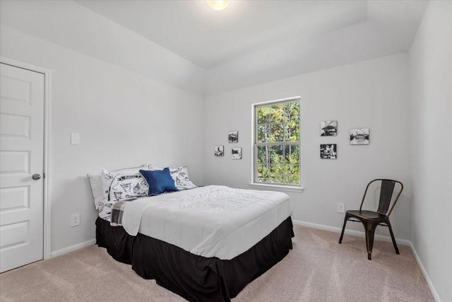 207 Ladner Court, Willis, TX 77318