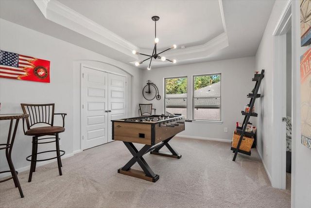 207 Ladner Court, Willis, TX 77318