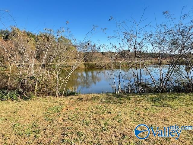 284 Abercorn Drive, Madison, AL 35756