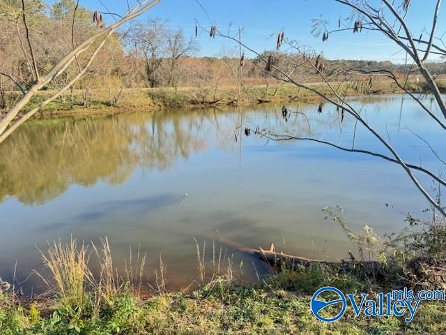 284 Abercorn Drive, Madison, AL 35756