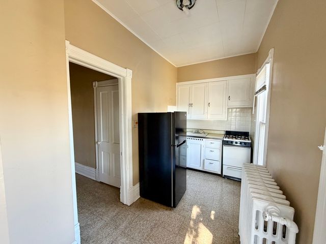 1105 Morton Avenue 3, Elgin, IL 60120