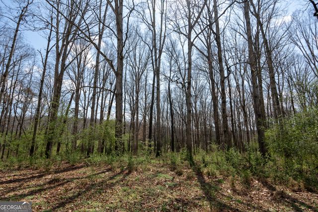 13 W L Williams, Commerce, GA 30530