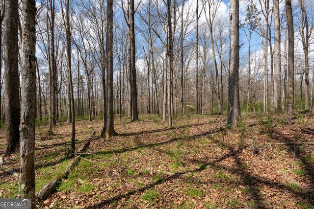 13 W L Williams, Commerce, GA 30530