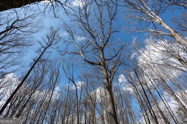 13 W L Williams, Commerce, GA 30530