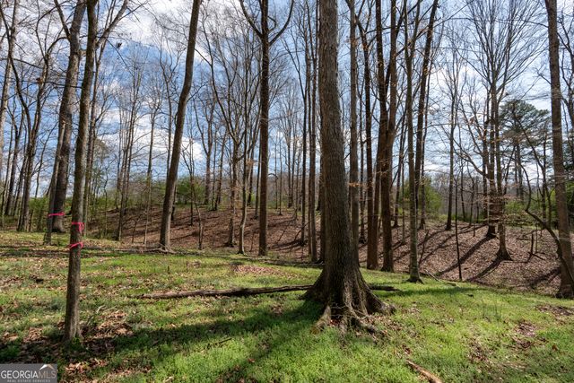 13 W L Williams, Commerce, GA 30530