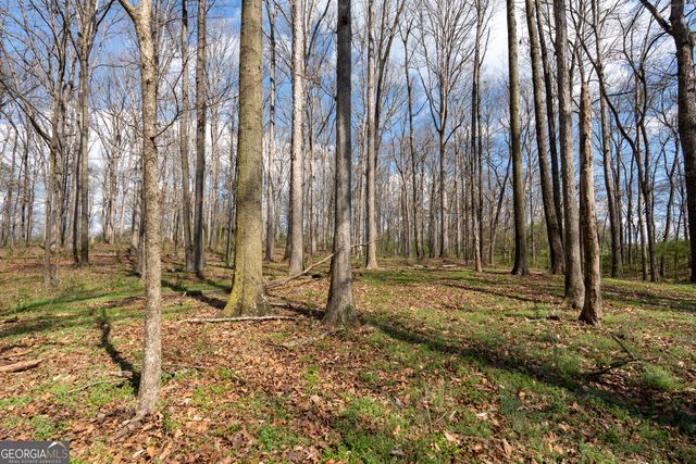 13 W L Williams, Commerce, GA 30530