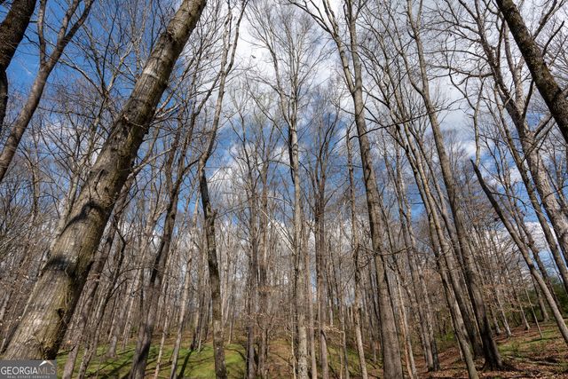 13 W L Williams, Commerce, GA 30530