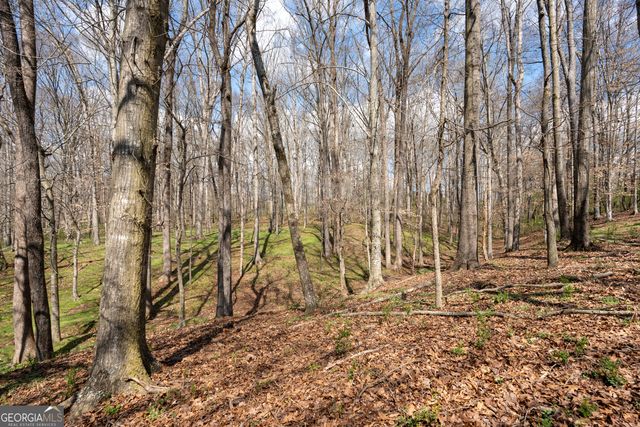 13 W L Williams, Commerce, GA 30530