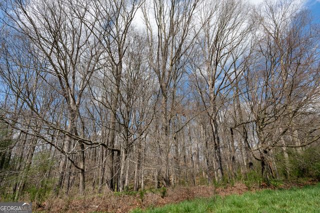 13 W L Williams, Commerce, GA 30530