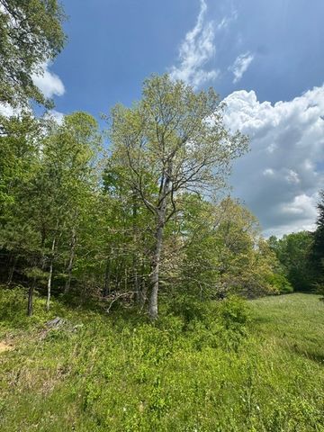 0 Sam Smith Rd, Allardt, TN 38504