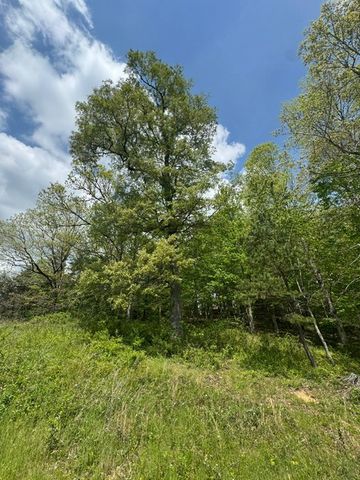 0 Sam Smith Rd, Allardt, TN 38504