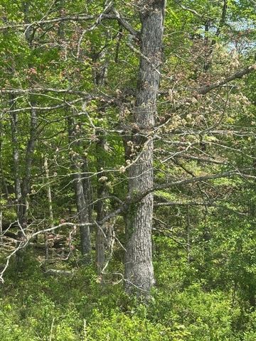 0 Sam Smith Rd, Allardt, TN 38504