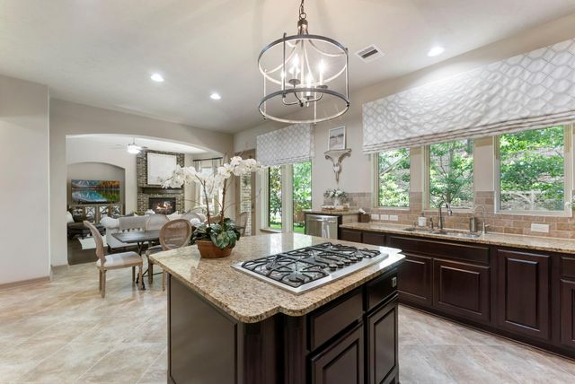 14 Dewlight Place, The Woodlands, TX 77354
