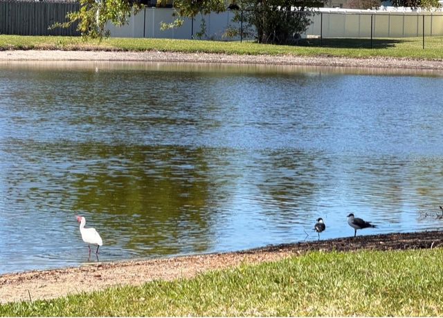 3815 N OAK DRIVE G71, Tampa, FL 33611