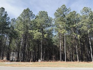 3290 Crockett Point, Jasper, TN 37347