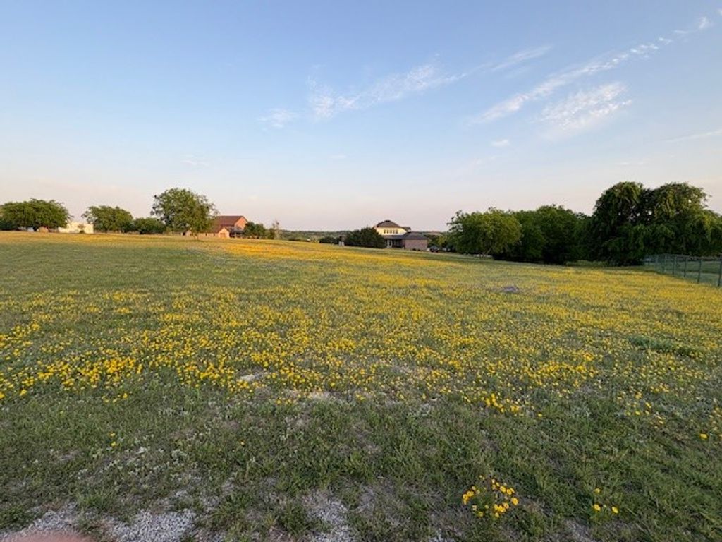 217 Pebble Ridge Court, Cresson, TX 76035