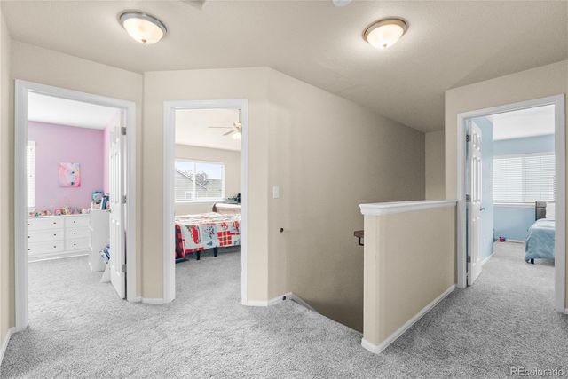 6238 Elk Bench Trail, Colorado Springs, CO 80925