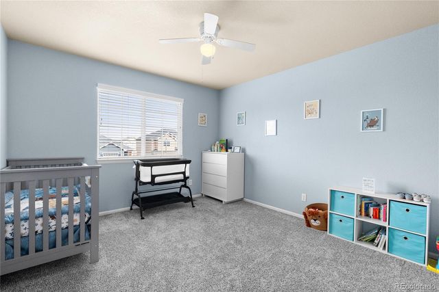 6238 Elk Bench Trail, Colorado Springs, CO 80925