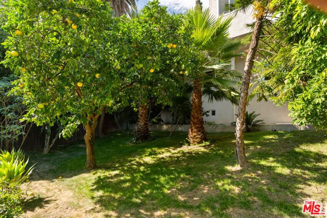 3141 E La Suvida Drive, Los Angeles, CA 90068